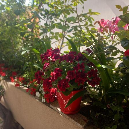 Apartments Gazi Улцин Екстериор снимка